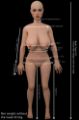Picture of Pauline 155cm / G cup / Silicone sex doll