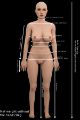 Picture of Lea 158cm / D cup / Silicone sex doll