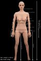 Picture of Monica 170cm-2 / E cup / Silicone sex doll