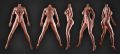 Bild von Maya 170 cm / F Körbchen / Silikon Realistisch Sexpuppe