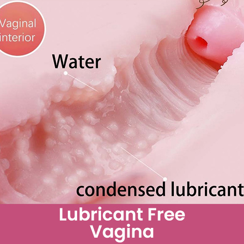 Gleitgelfreie Vagina [+€45]