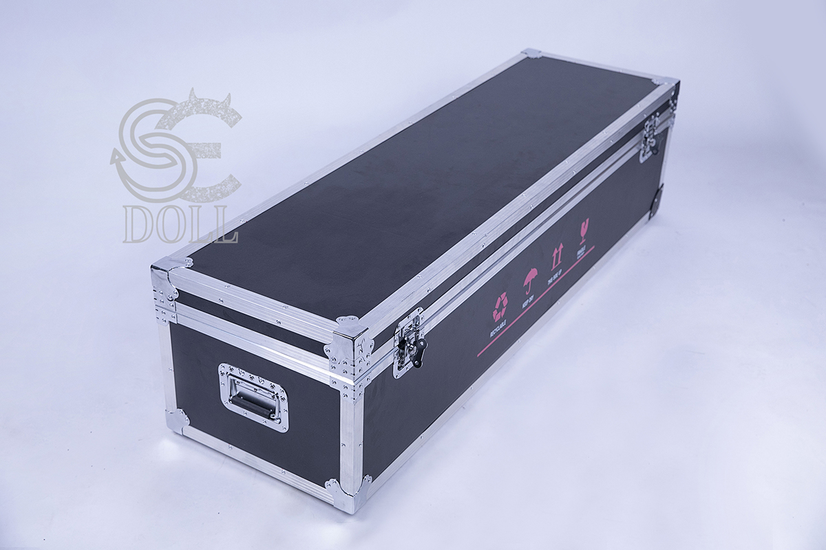 Transportkoffer [+€150]
