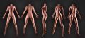 Picture of Naomi 167 cm / B Cup / Silicone Realistic sexdoll
