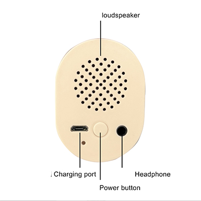 Audio in head - only with moaning function [+€45]