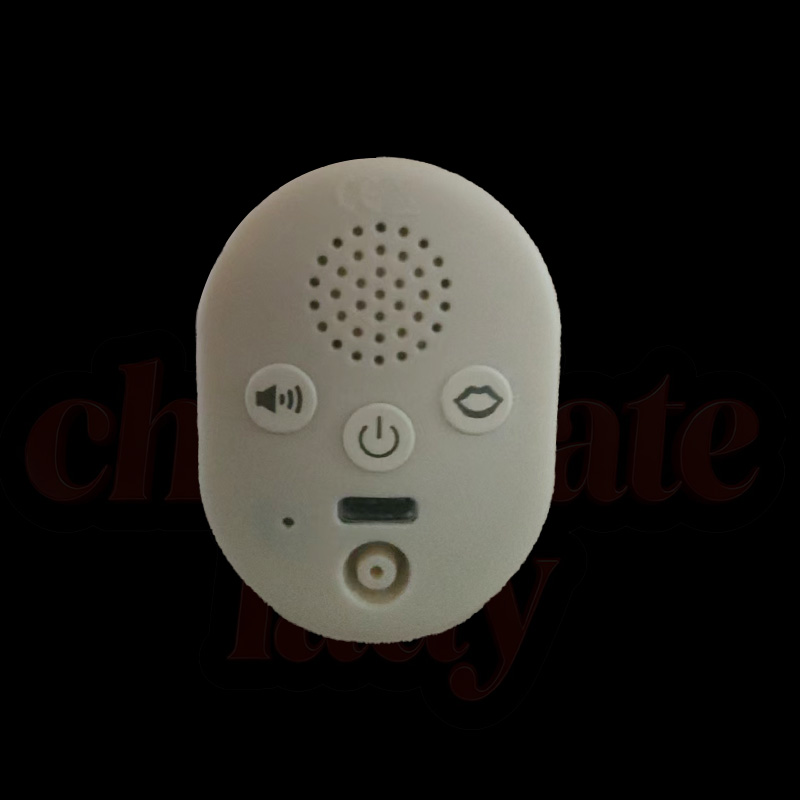 AI Voice communicator [+$  173]