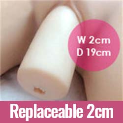 Replaceable vagina