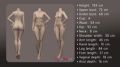 Picture of Alice / 159 cm  / A cup / ROS Silicone sexdoll - EU Stock