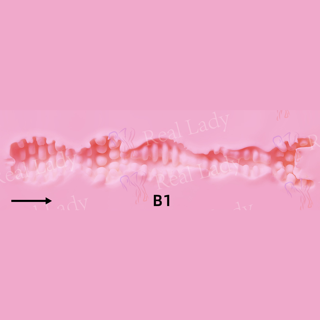 RL-B1