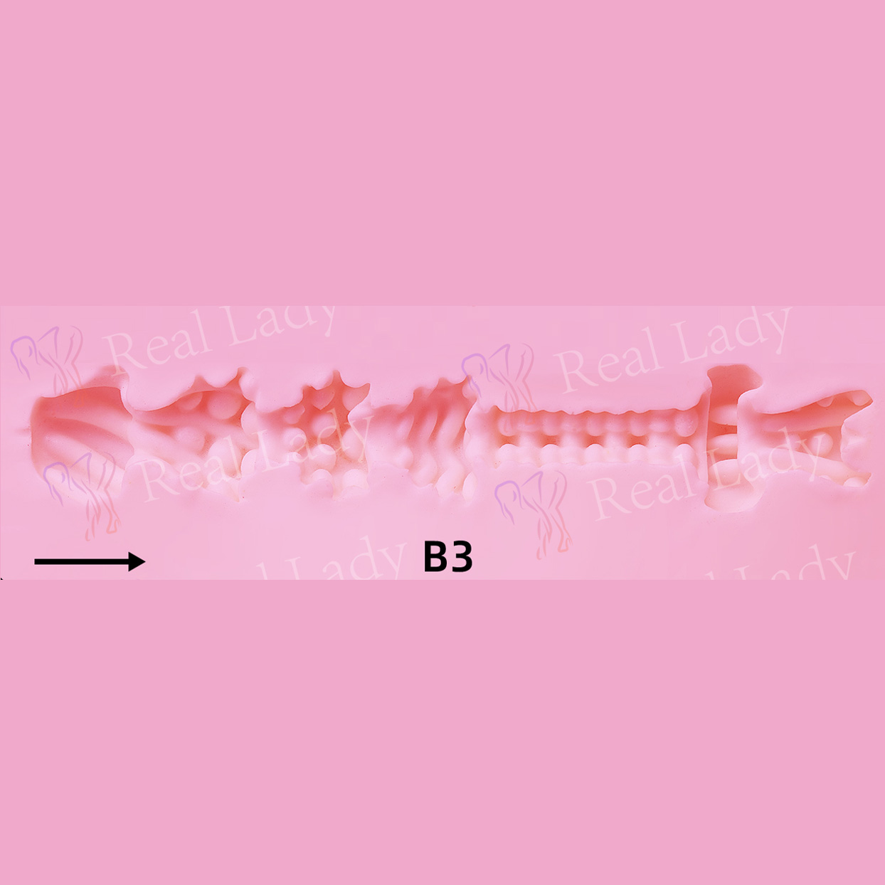 RL-B3