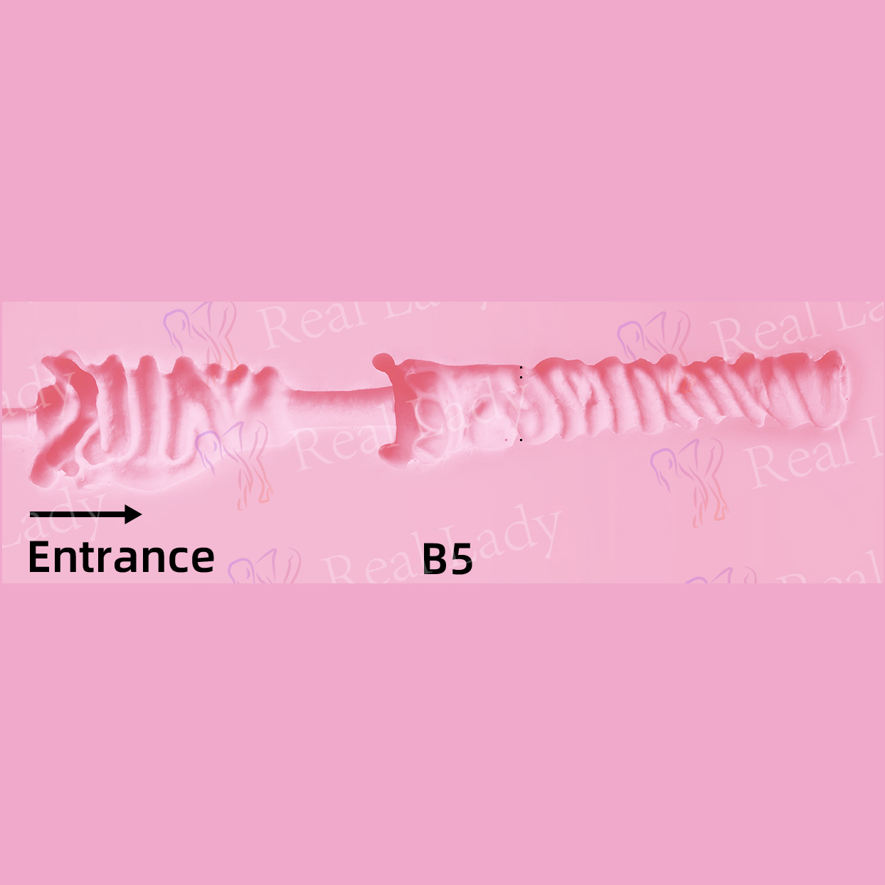 RL-B5