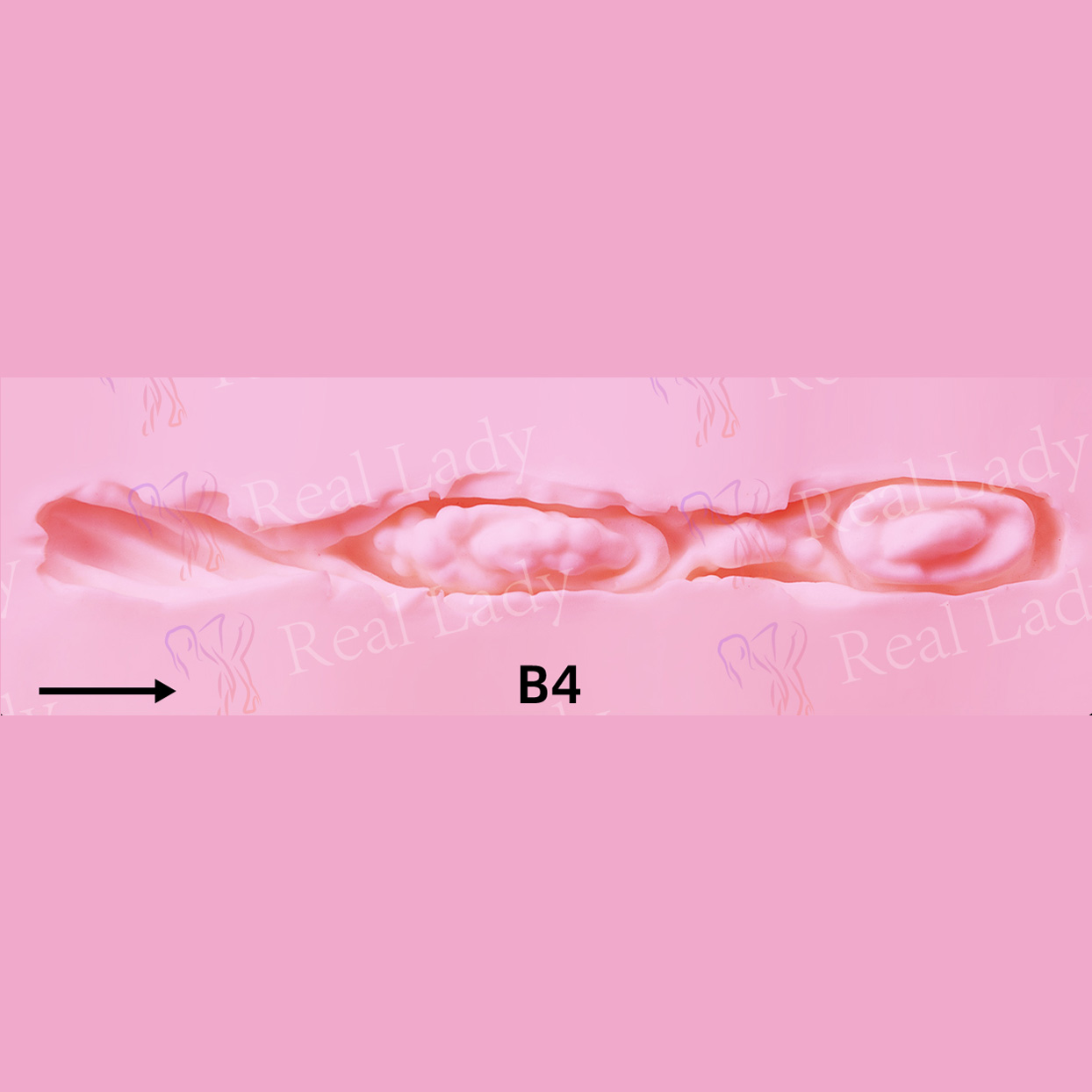 RL-B4